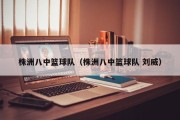 株洲八中篮球队（株洲八中篮球队 刘威）