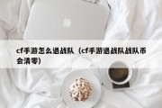 cf手游怎么退战队（cf手游退战队战队币会清零）