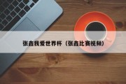 张鑫我爱世界杯（张鑫比赛视频）