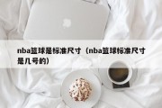 nba篮球是标准尺寸（nba篮球标准尺寸是几号的）