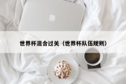 世界杯混合过关（世界杯队伍规则）