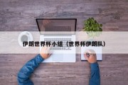 伊朗世界杯小组（世界杯伊朗队）