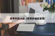 世界杯回访放（世界杯回放录像）