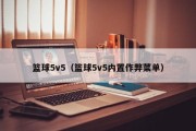 篮球5v5（篮球5v5内置作弊菜单）
