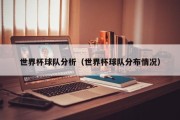 世界杯球队分析（世界杯球队分布情况）