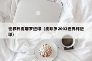 世界杯皮耶罗进球（皮耶罗2002世界杯进球）