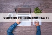 篮球斯坦科维奇杯（斯坦科维奇杯什么水平）