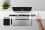 世界杯有（世界杯有什么比赛）